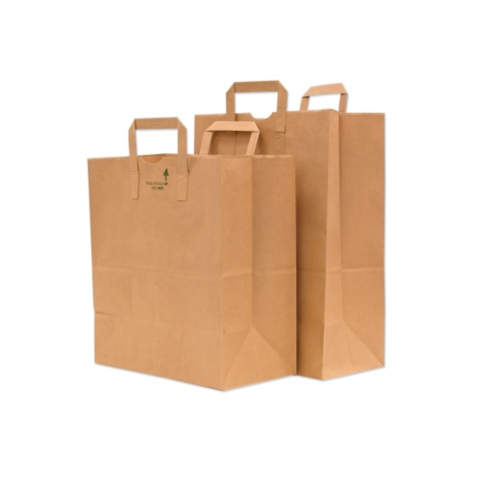 Recyclable Carry-Out Bags, 25 Pack