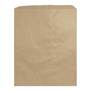 Notion Bags, 500 Pack